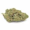 Amnesia Haze Idroponica