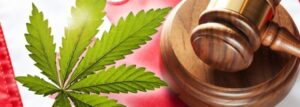 marijuana legale italia