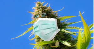 cbd corona virus cura