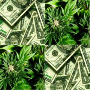 acquistare-cannabis-light-online
