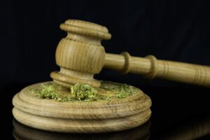 cannabis legale italia
