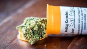 cannabis legale italia