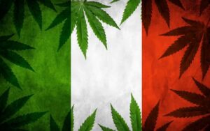 canapa-legale-Italia