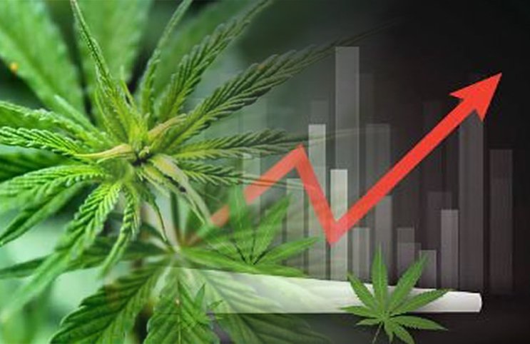 legalizzare marijuana italia