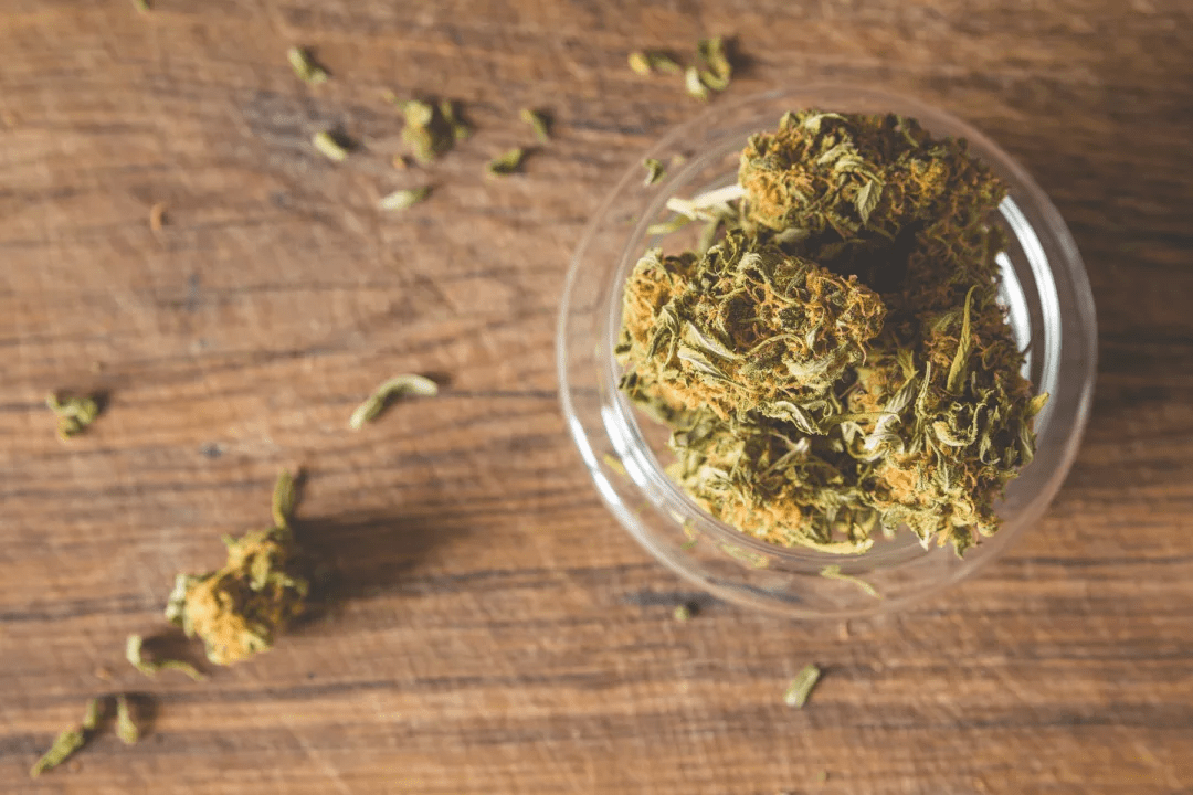 marijuana legale