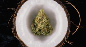 olio di cocco per liquido sigaretta elettronica al thc