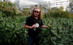 shantibaba (1) - WeWeed.it white widow inventor
