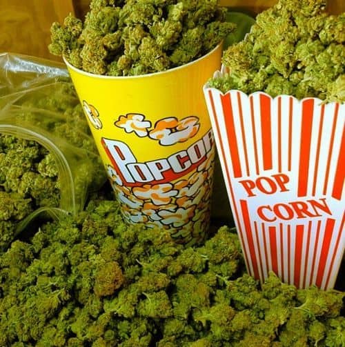 Cannabis al cinema, i film da non perdere