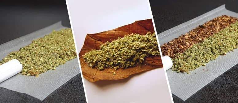 Joint, Blunt e Spliff, differenze e caratteristiche
