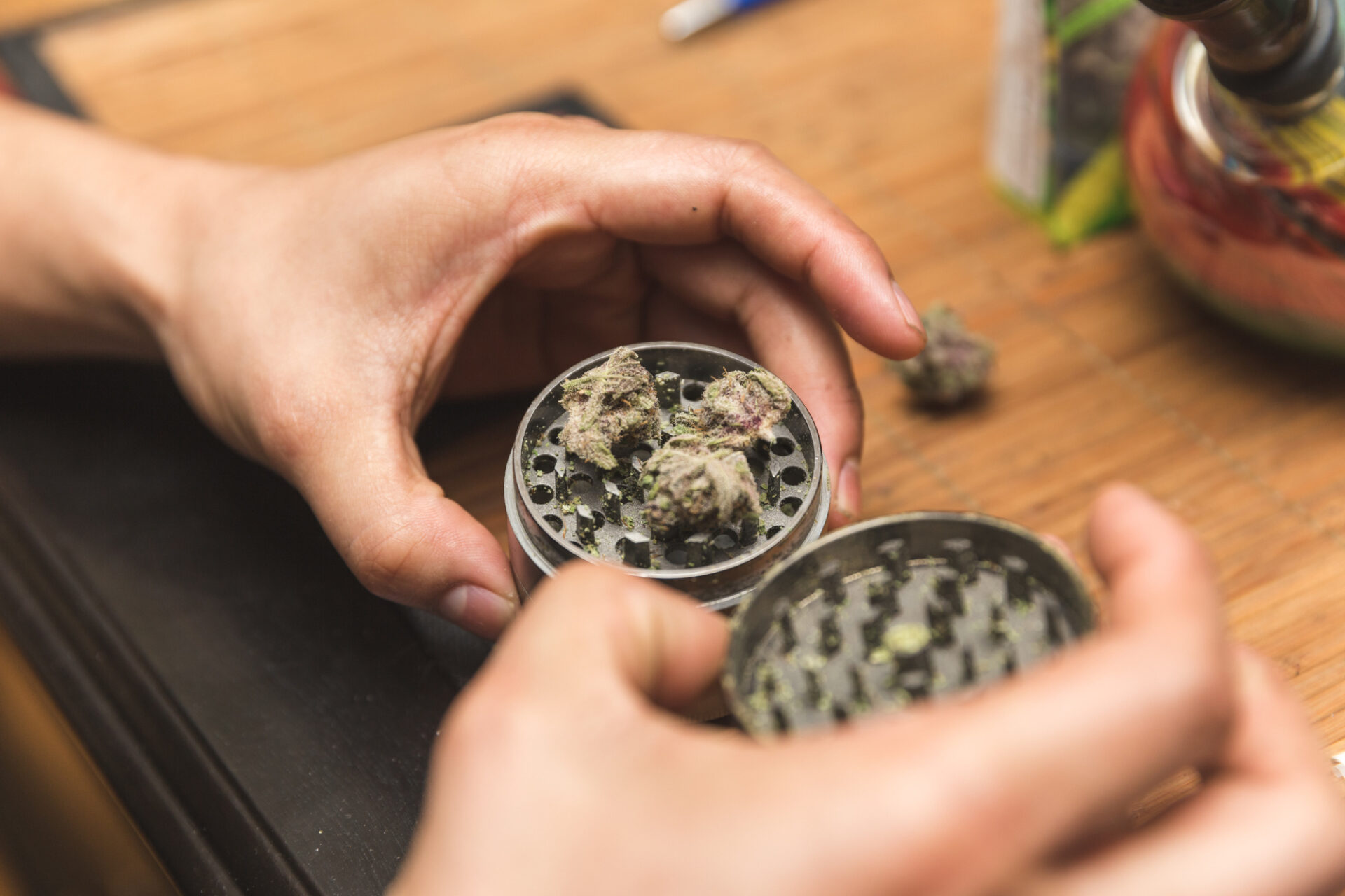 grinder erba