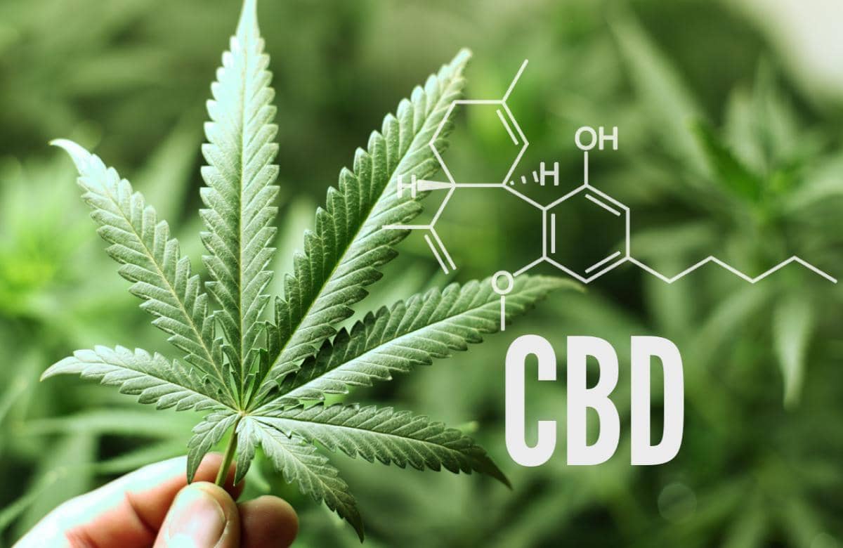 cbd