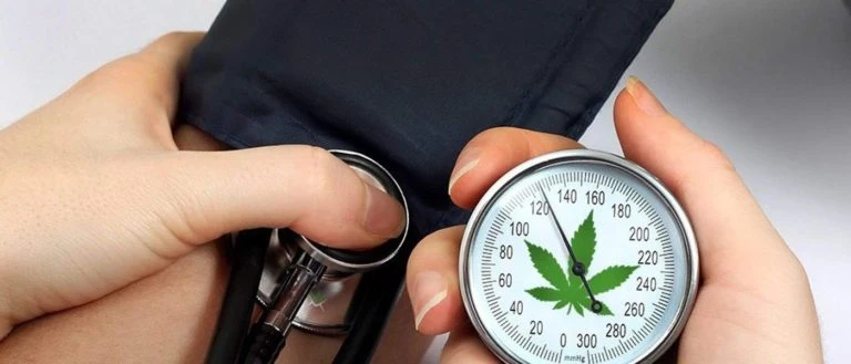cbd-abbassa-la-pressione - WeWeed.it