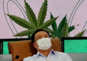 È legale la marijuana in Thailandia?
