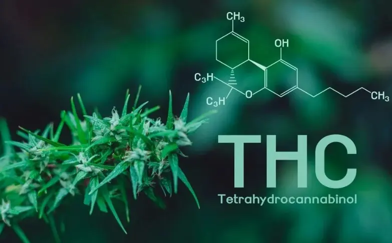 thc