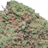 white widow macro
