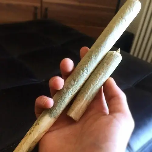 erba e fumo insieme come si chiama - WeWeed.it erba e fumo insieme come si chiama