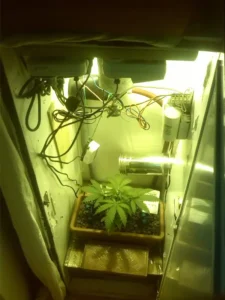Grow Box Fai Da Te