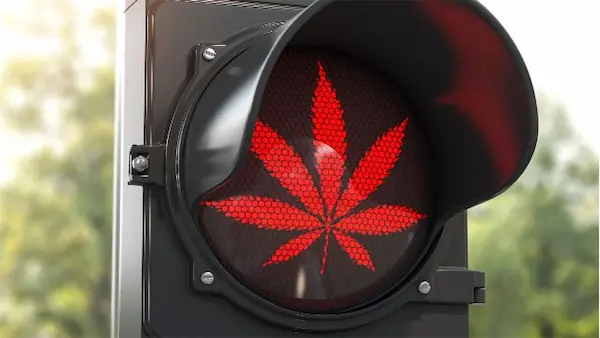 Test Salivare THC2 - WeWeed.it Finestra di rilevabilità del THC nella saliva dopo cannabis light