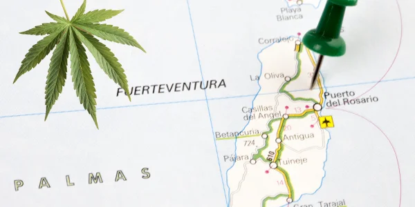 top 5 dei migliori cannabis club di fuerteventura