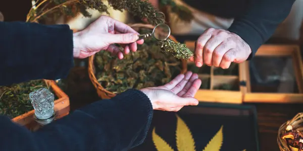I turisti possono entrare nei cannabis club di Alicante?