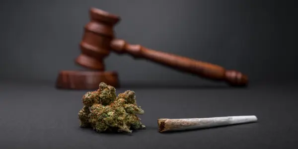 cannabis legale Portogallo - WeWeed.it cannabis legale Portogallo