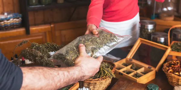 cannabis club Portogallo