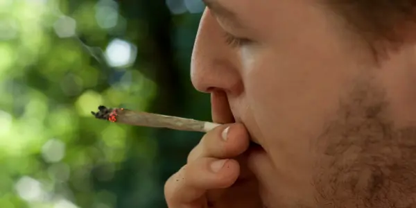 I turisti possono entrare nei Cannabis Social Club a Madrid