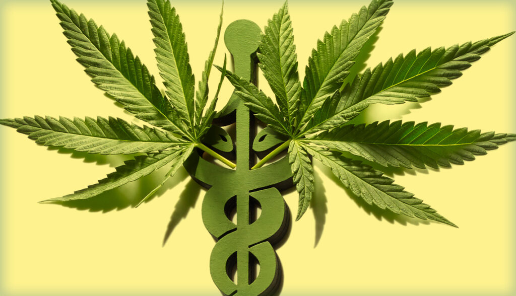 Two marijuana leaves superimposed on a caduceus medical symbol - WeWeed.it Prescrizione Cannabis