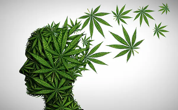 dipendenza dalla cannabis - WeWeed.it dipendenza da cannabis