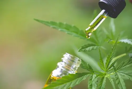 effetti cbd 1 - WeWeed.it Effetti CBD