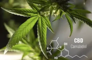 molecola cbd