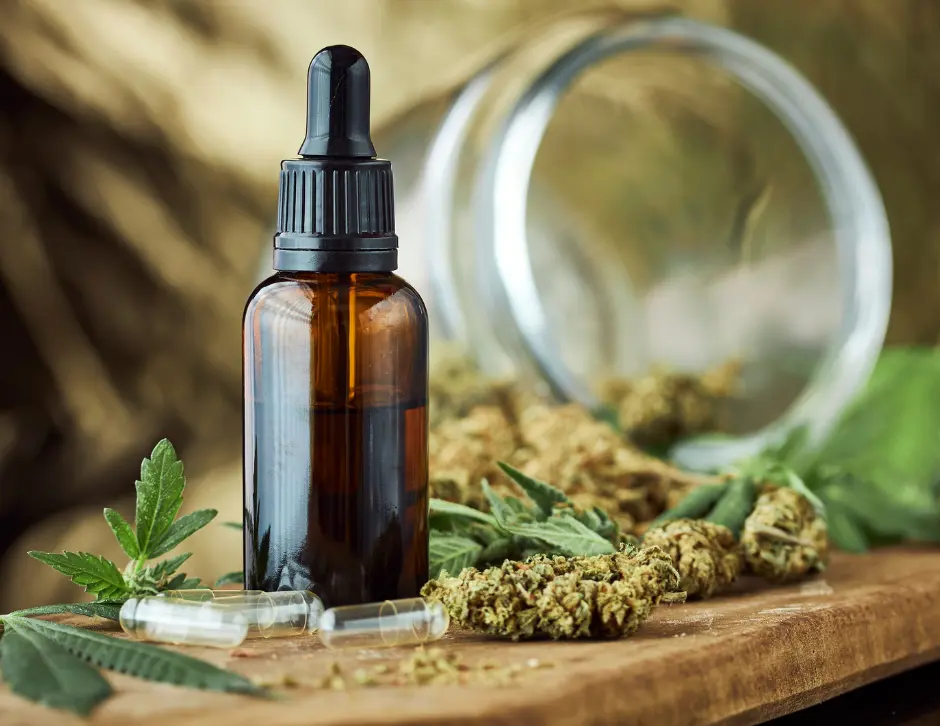 olio di canapa cbd