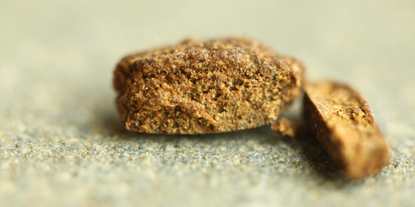 effetti dell'hashish sul sistema nervoso