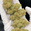 AK47 CBD - Premium