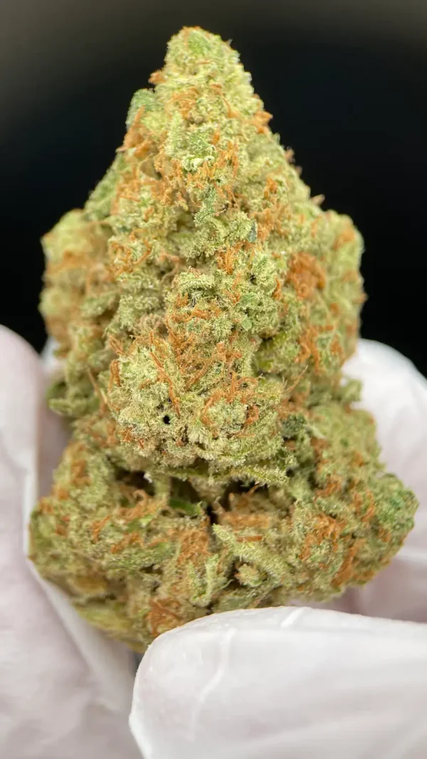 AK47 CBD - Premium