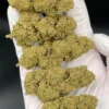 Critical Lime