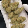 GSC Cookies - Premium