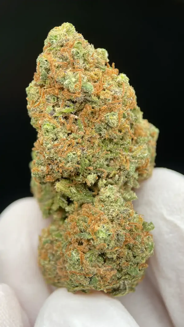 GSC Cookies - Premium