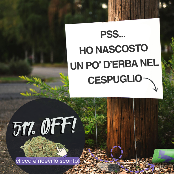 Banner display carlo 10 - WeWeed.it coupon erba legale