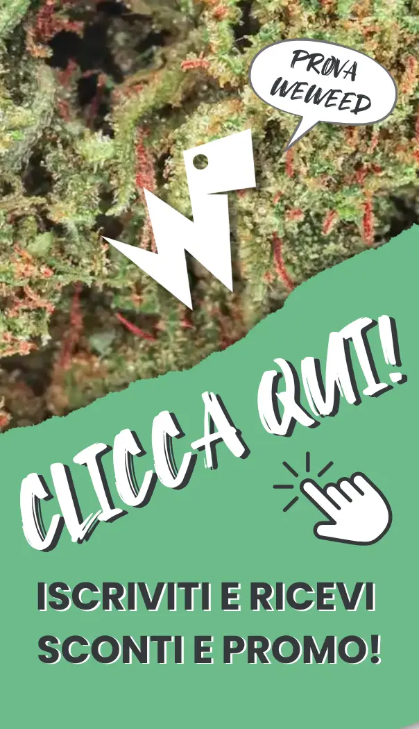 sconti weweed