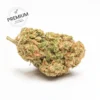 bubble cannabis cbd