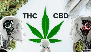 cannabis light CBD e THC