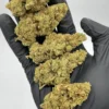 Gorilla Glue