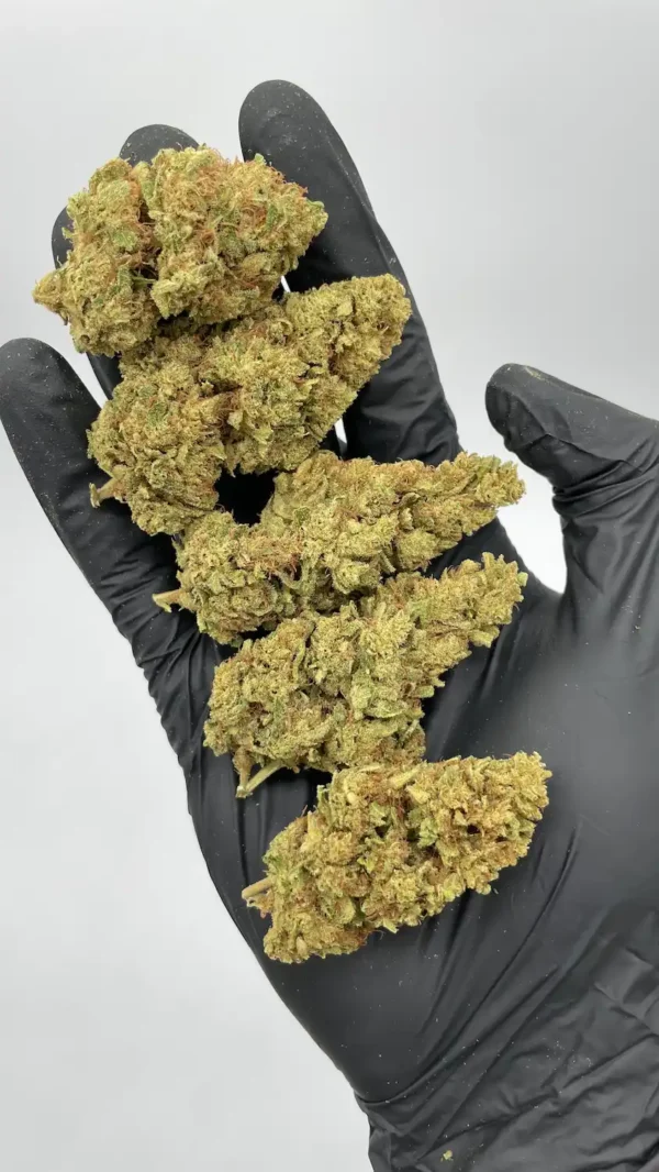 Gorilla Glue