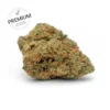 GSC cookies