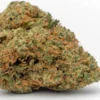 GSC Cookies CBD cannabis light