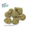 Silver Haze Baby buds