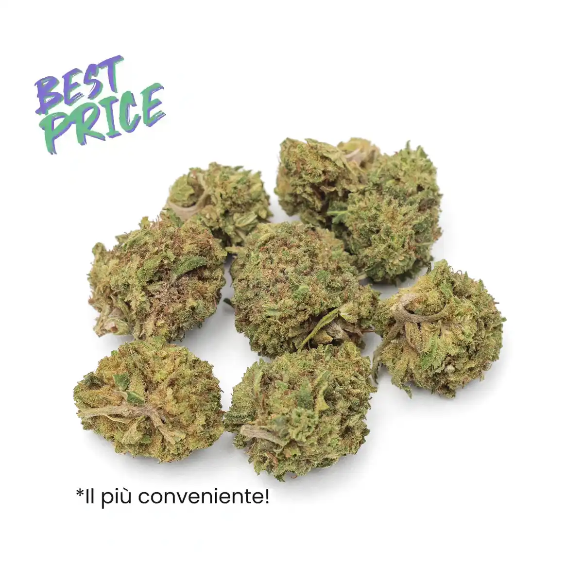 Silver Haze '26 baby buds WeWeed, cannabis light in formato risparmio