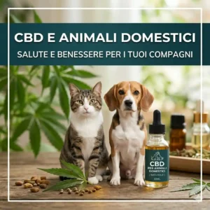 CBD e animali domestici