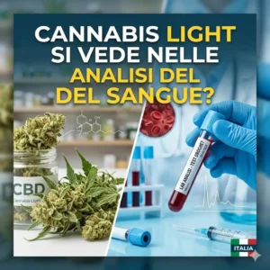 Cannabis light si vede nelle analisi del sangue